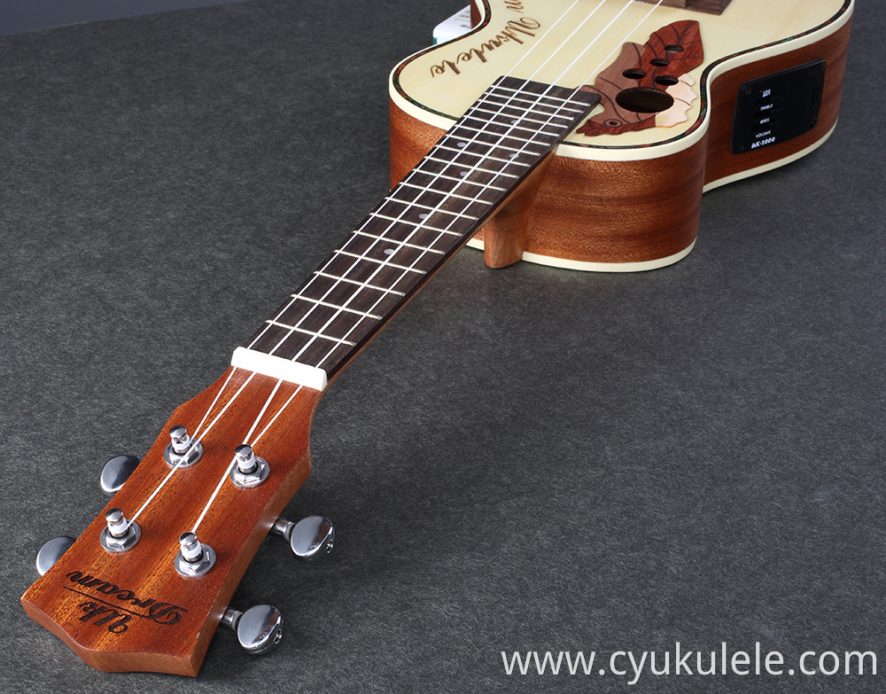 ukulele9 ukulele9